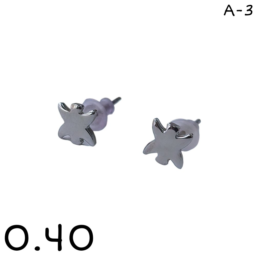 PASANTES ESTRELLA FUGAZ