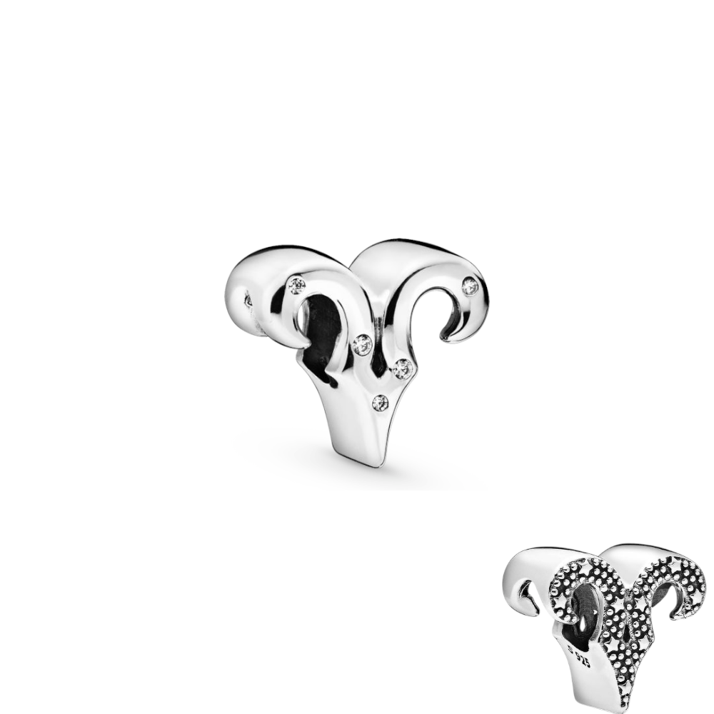 CHARMS ARIES T-1G