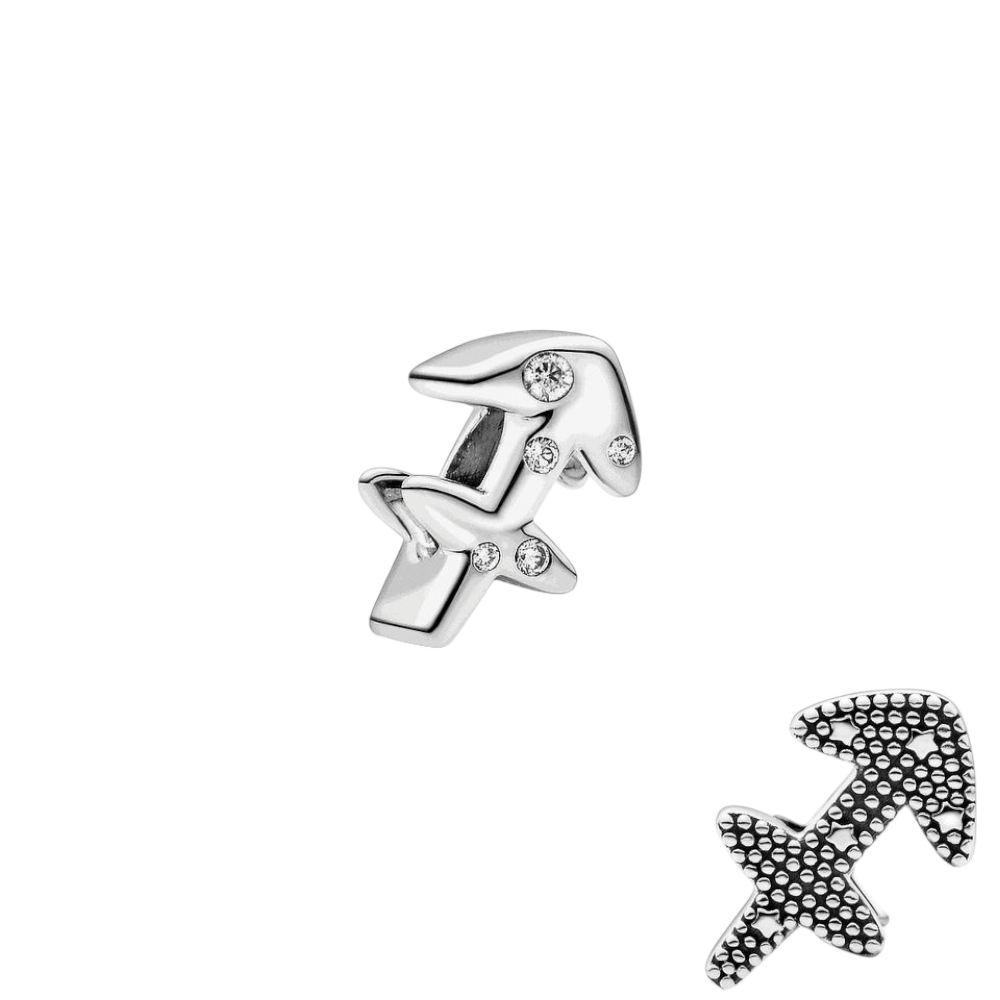 CHARMS SAGITARIO T-1G