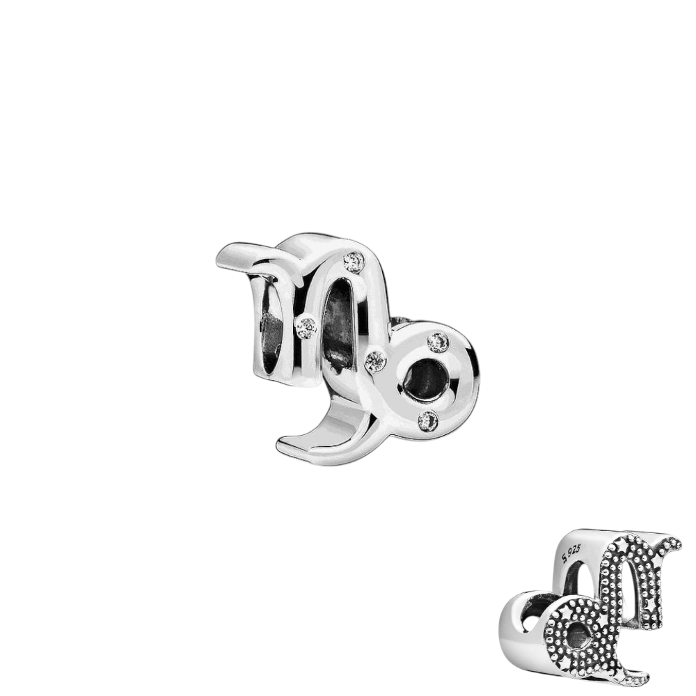 CHARMS CAPRICORNIO T-1G