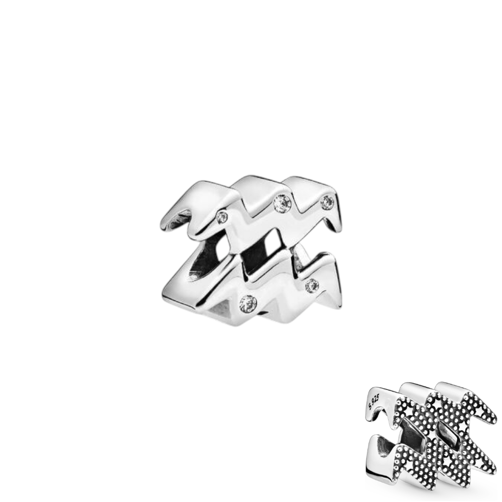 CHARM ACUARIO T-1G