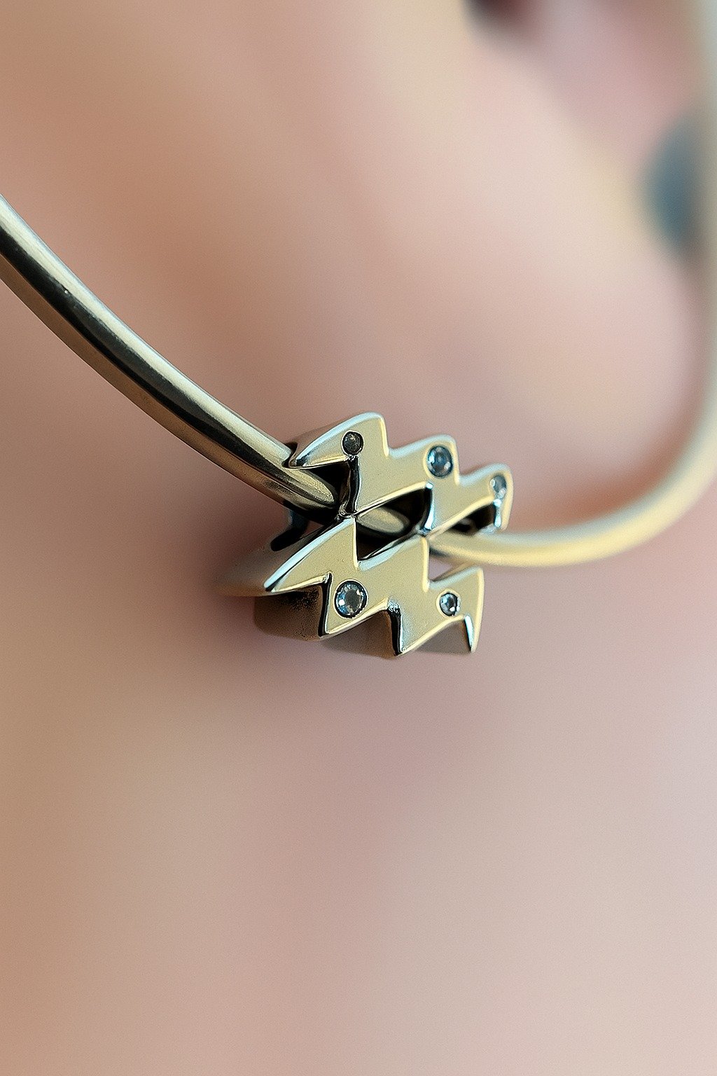 CHARM ACUARIO T-1G