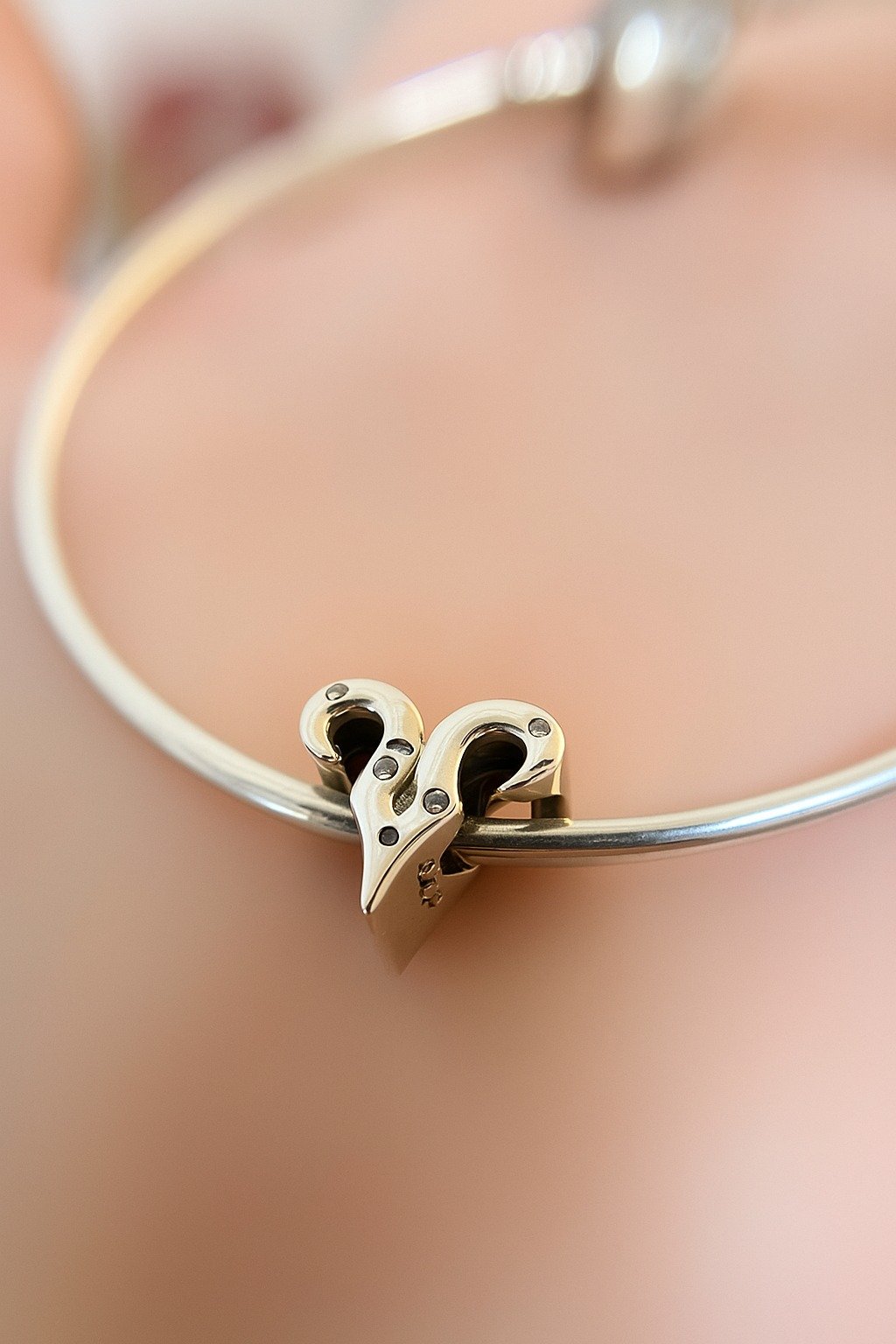 CHARMS ARIES T-1G