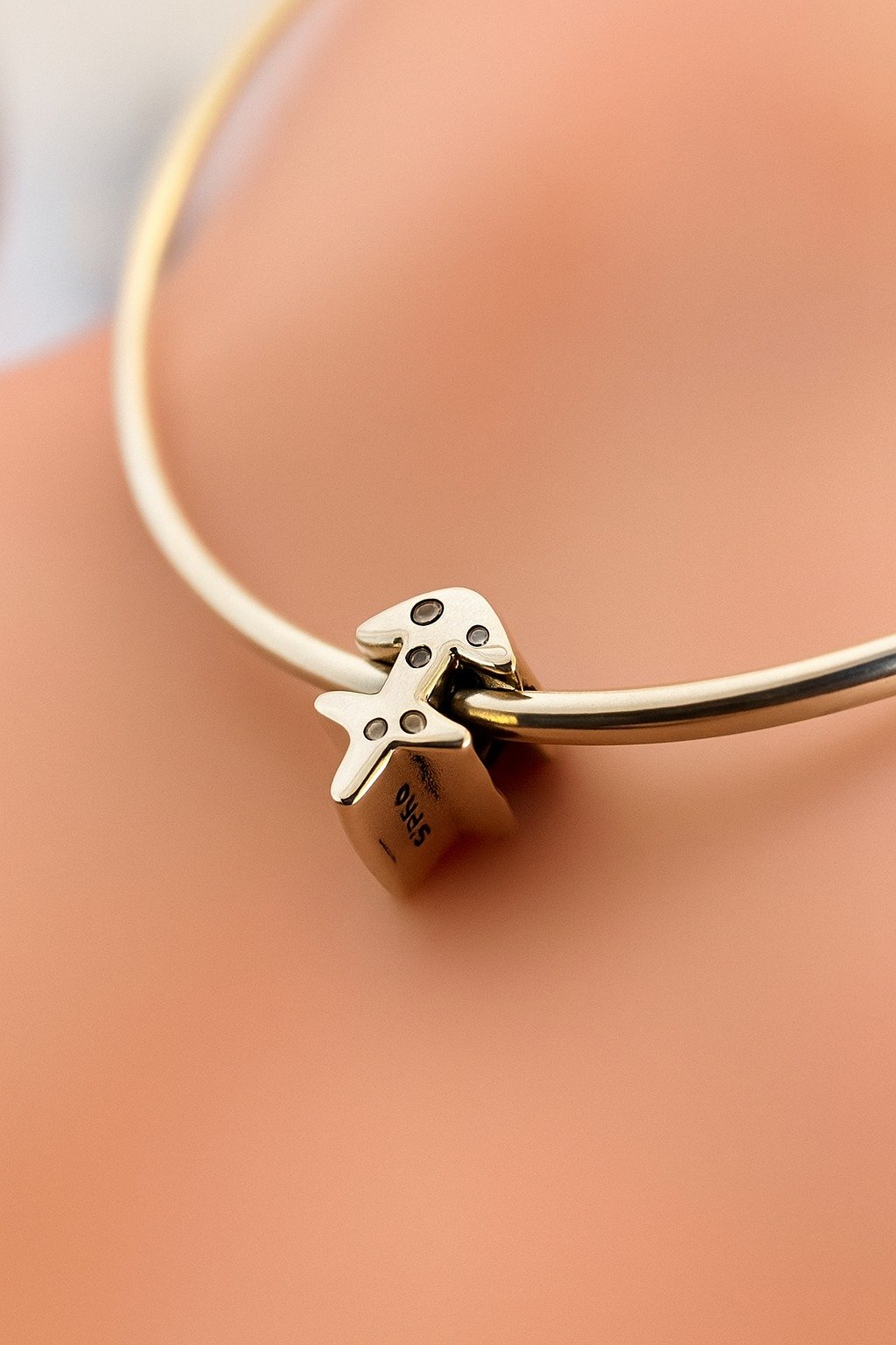 CHARMS SAGITARIO T-1G