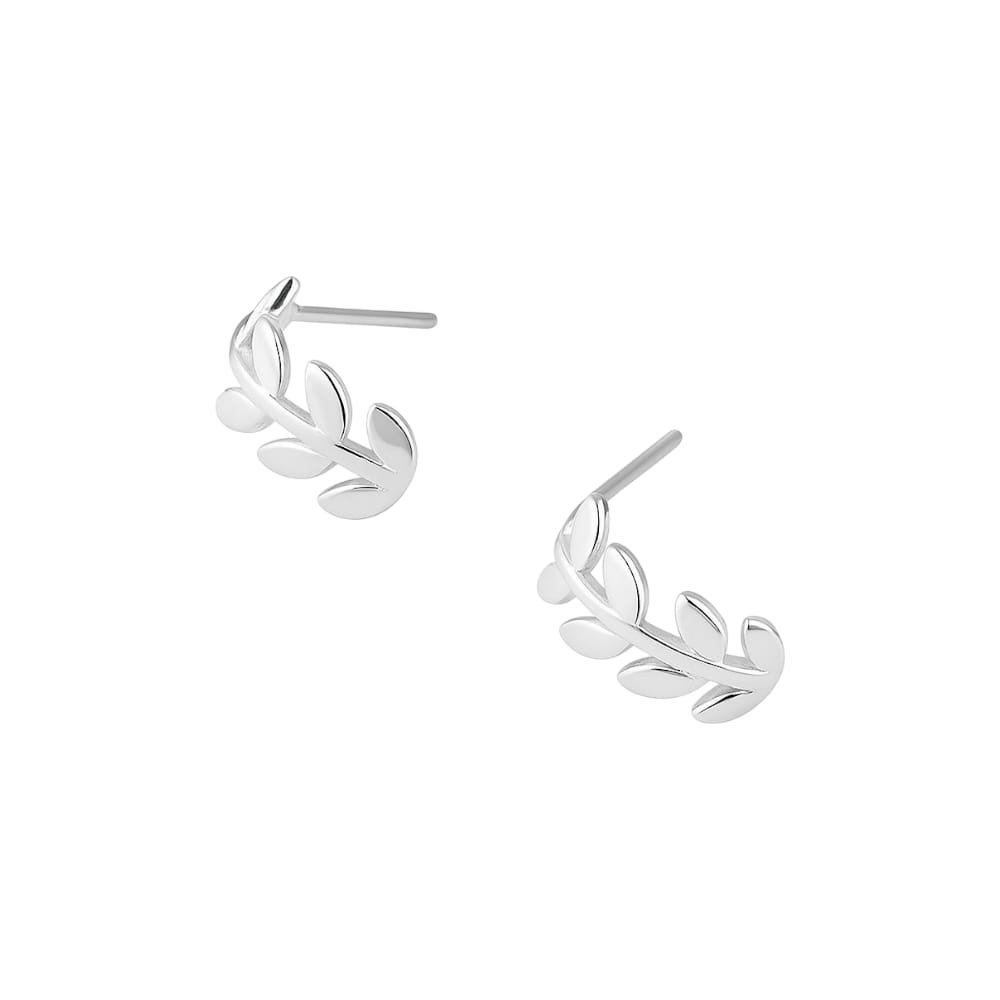 PASANTE DE LAUREL C-113B