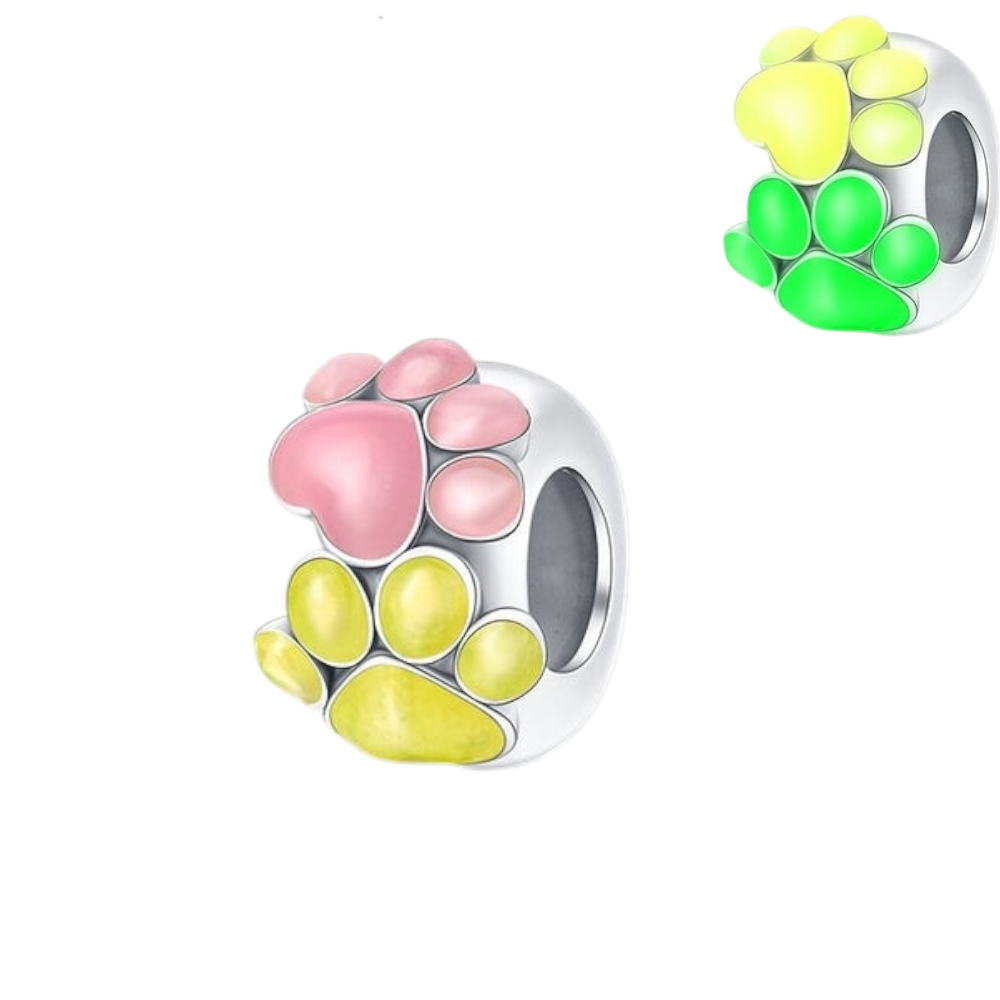 CHARMS HUELLAS PERRO "BRILLA EN LA OSCURIDAD" T-1C