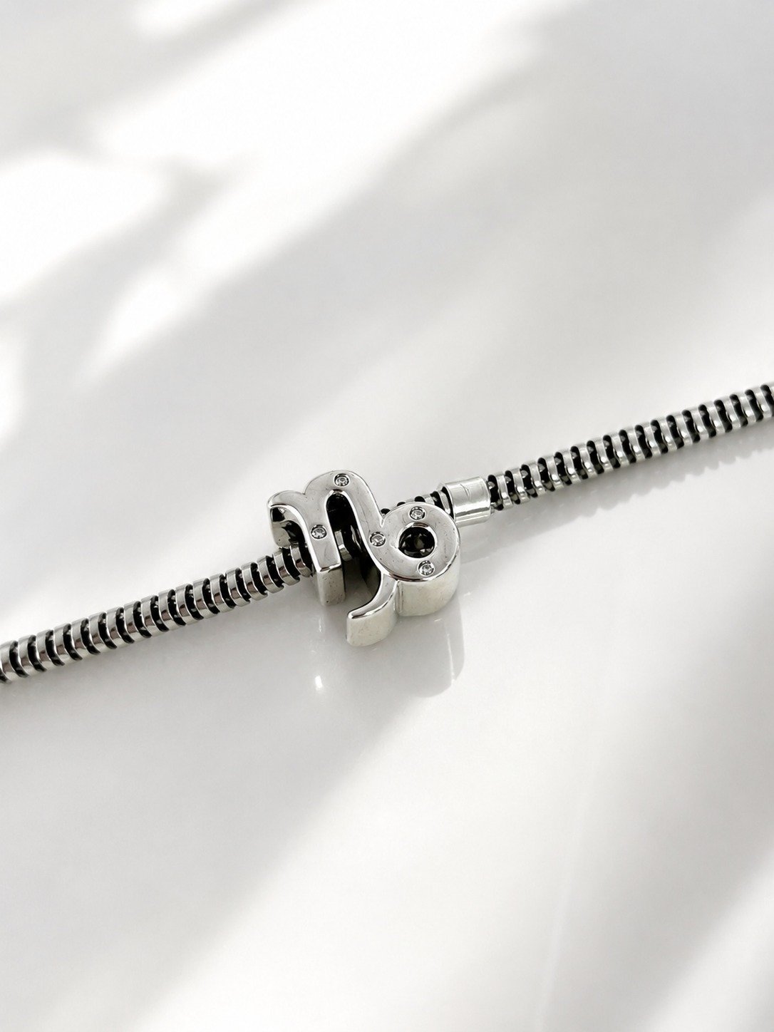 CHARMS CAPRICORNIO T-1G