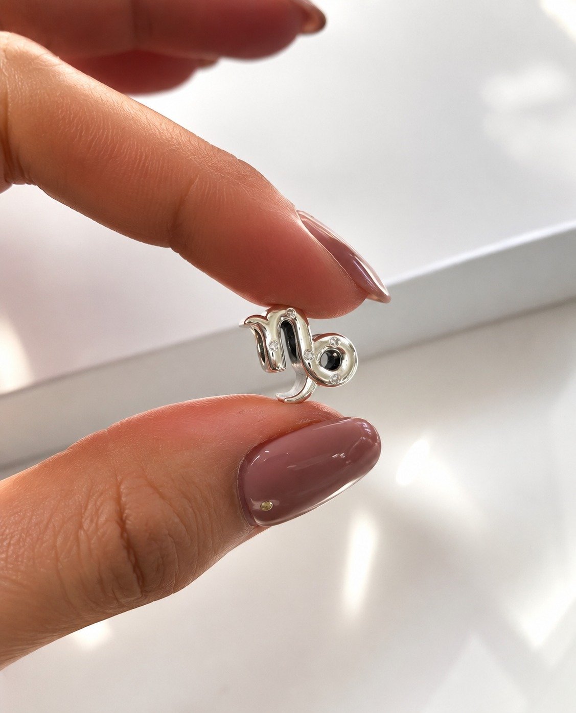CHARMS CAPRICORNIO T-1G