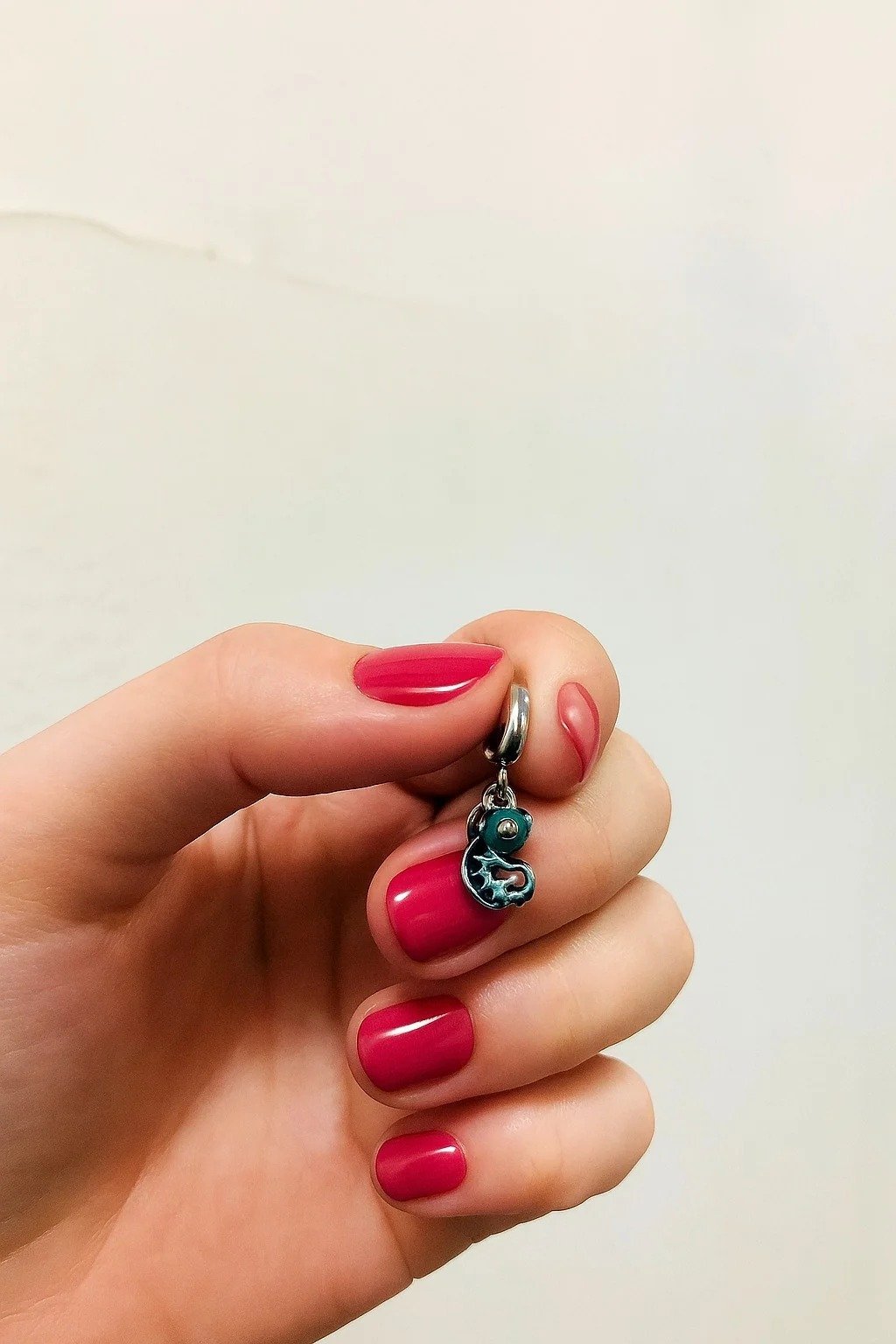 CHARMS CAMALEON (PASCAL) T-1E